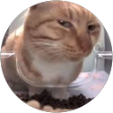 Elif Duru Arslan profile picture